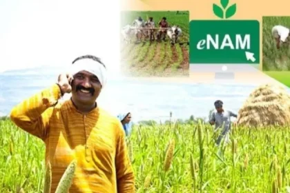 घर बैठे बनवाएं e-NAM लाइसेंस, किसान अब ऑनलाइन बेच सकते हैं अपना उत्पादन