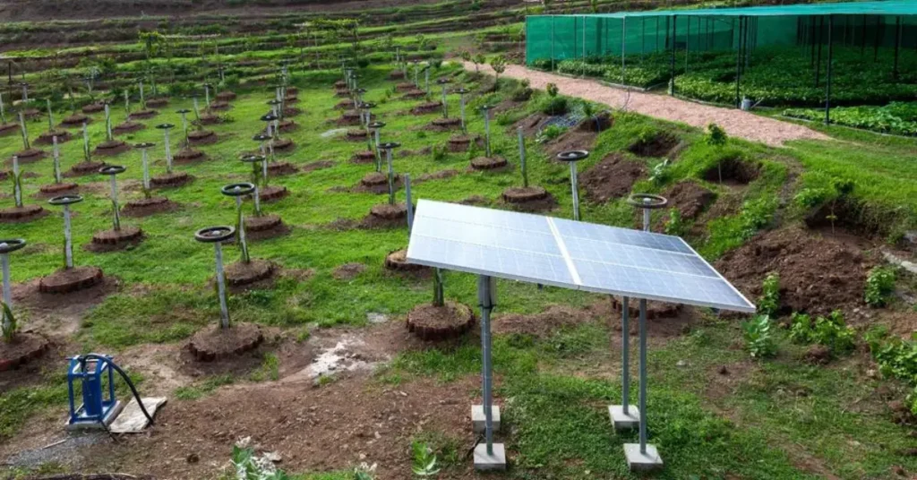 प्रधानमंत्री कुसुम योजना के तहत सौर ऊर्जा लगाकर अपने पंपों को चलाकर खेती की सिंचाई कर सकते हैं।