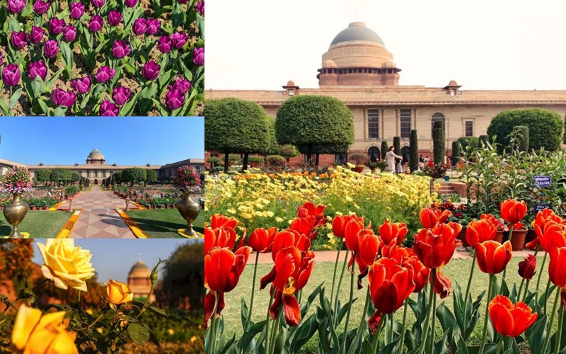 अमृत उद्यान को पहले मुगल गार्डन के नाम से भी जाना जाता था।
